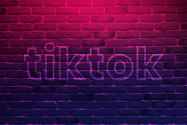 The TikTok Guide