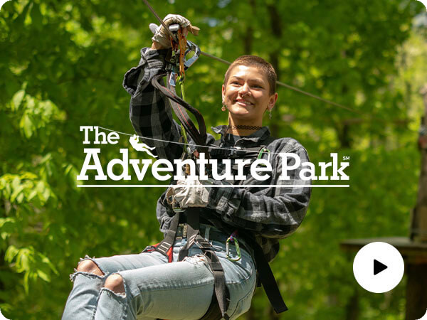 Outdoor Ventures: How we increased growth for an Outdoor Park by 11% YoY whilst reducing CPCs by 62%